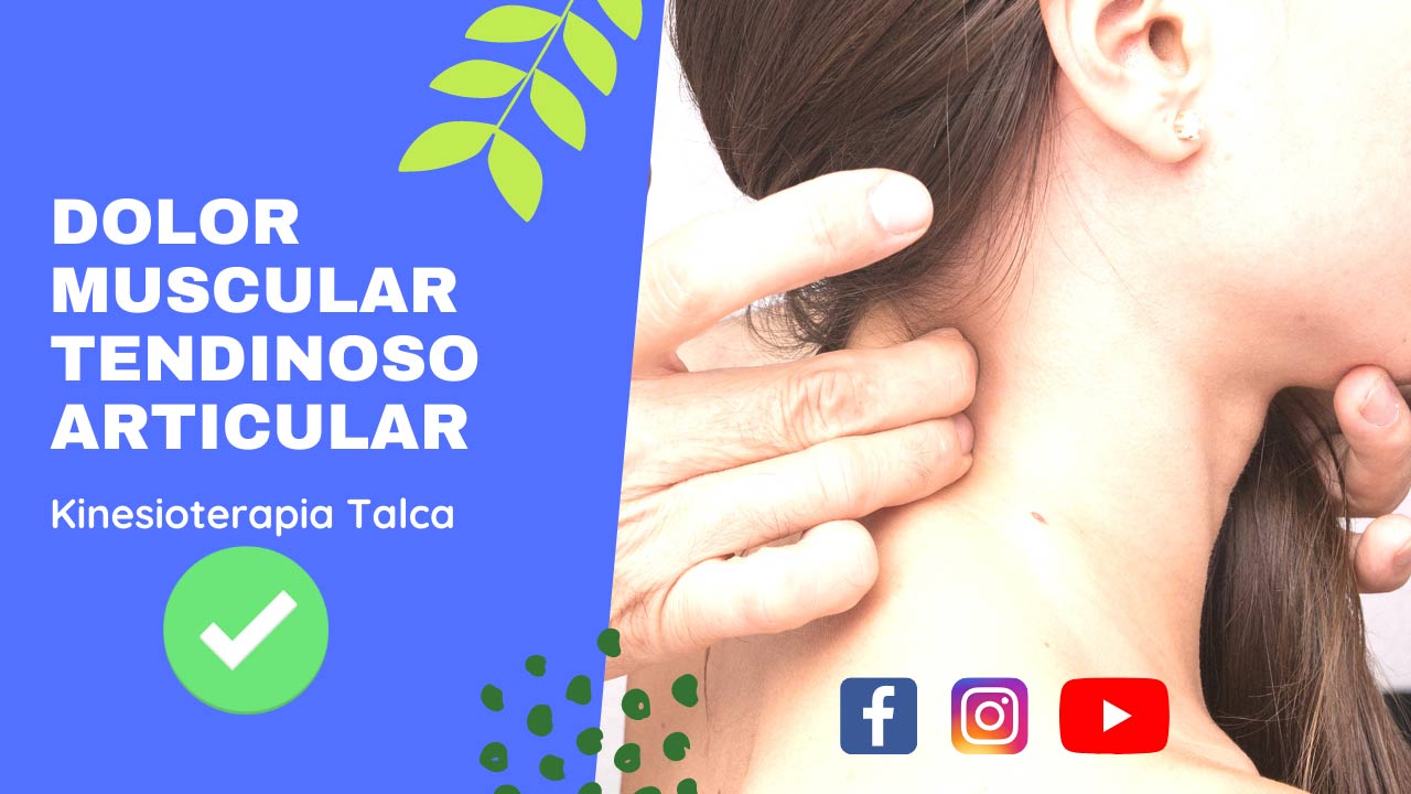 Dolor-Muscular-Tendinoso-Articular-Fisioterapia-Talca