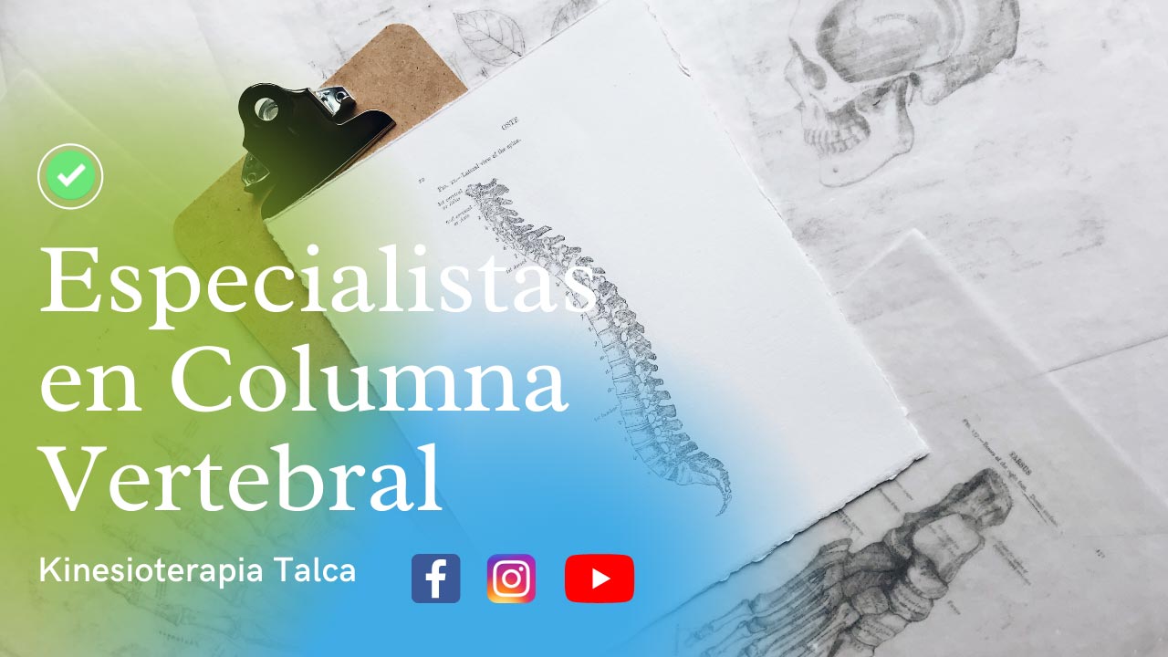 Especialistas-en-Columna-Vertebral-en-Talca